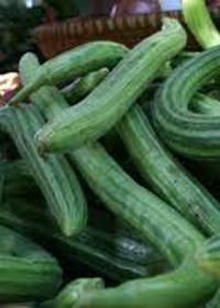 Cucumis sativus 'Armenian'